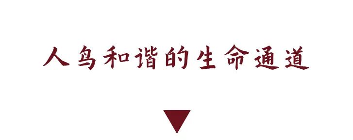 DƬ
